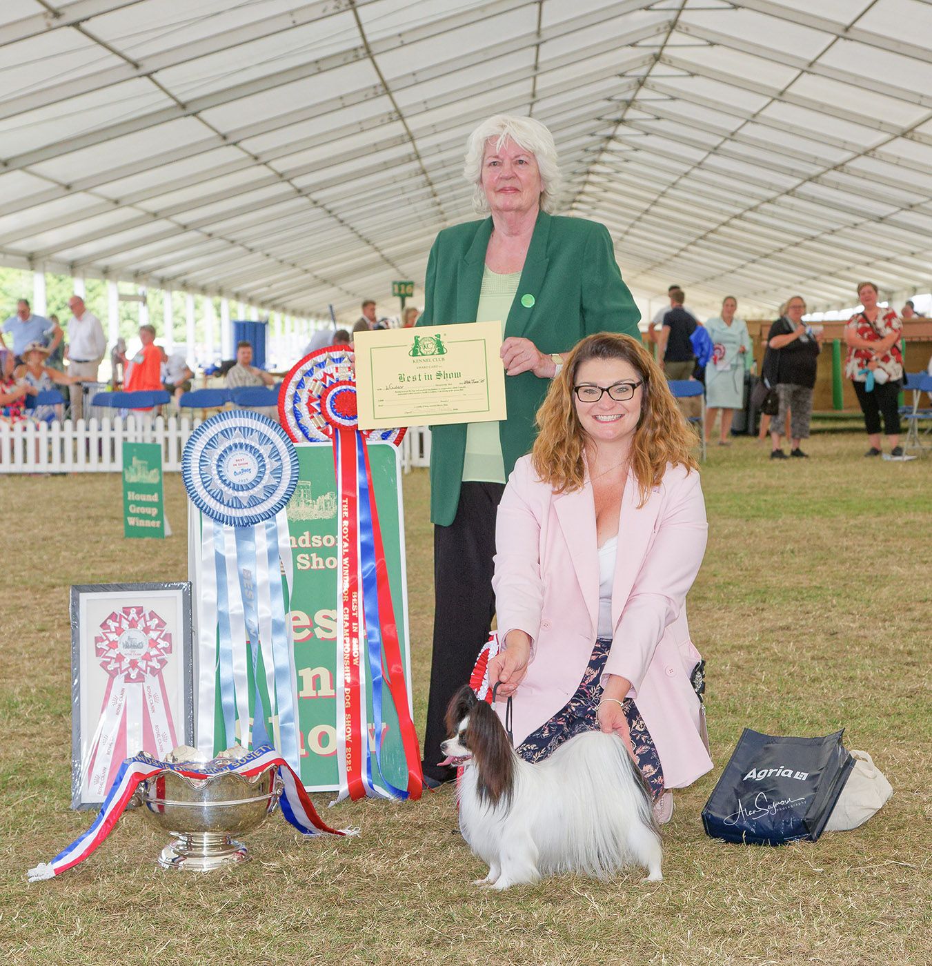 In the Shadow of the Castle